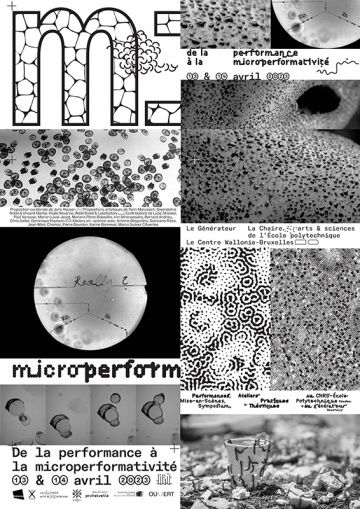 From performance to microperformativity