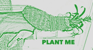 Plant me,