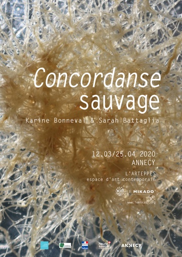 Concordanse sauvage