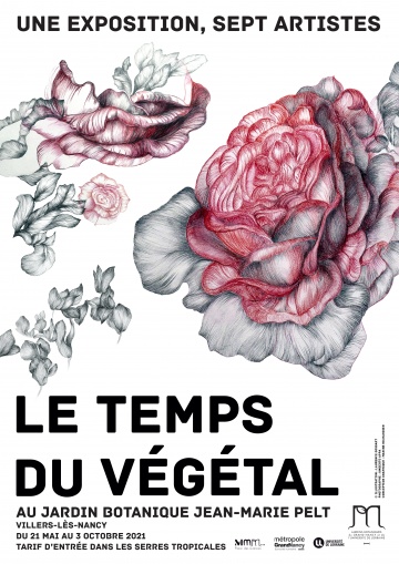 Le temps du végétal