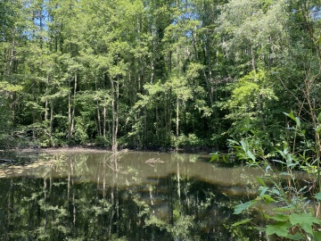 2km4_fo a joyful ecology - water