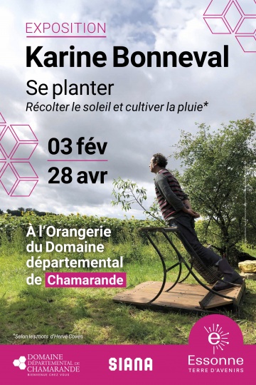 Se planter, récolter le soleil et cultiver la pluie