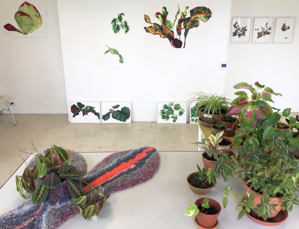 Watching plants grow, at the invitation of Patricia Cartereau