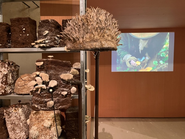 paille, terre, pierre