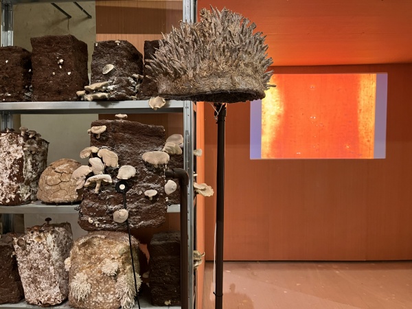 paille, terre, pierre