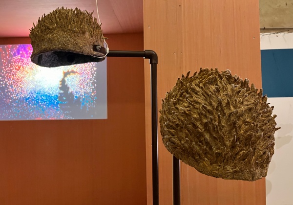 paille, terre, pierre