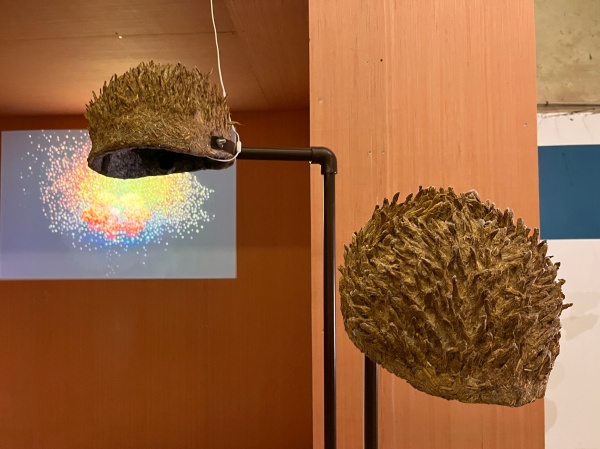 paille, terre, pierre