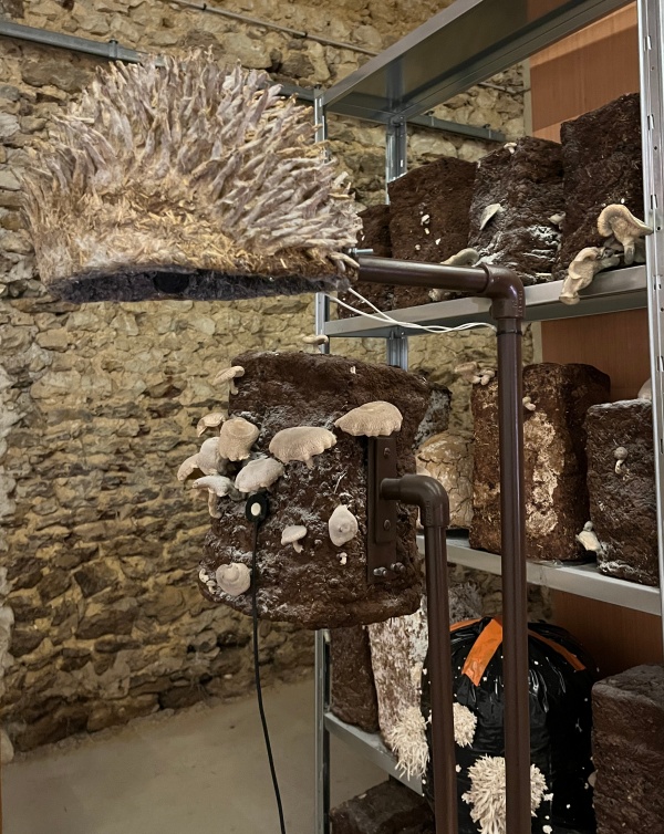 paille, terre, pierre