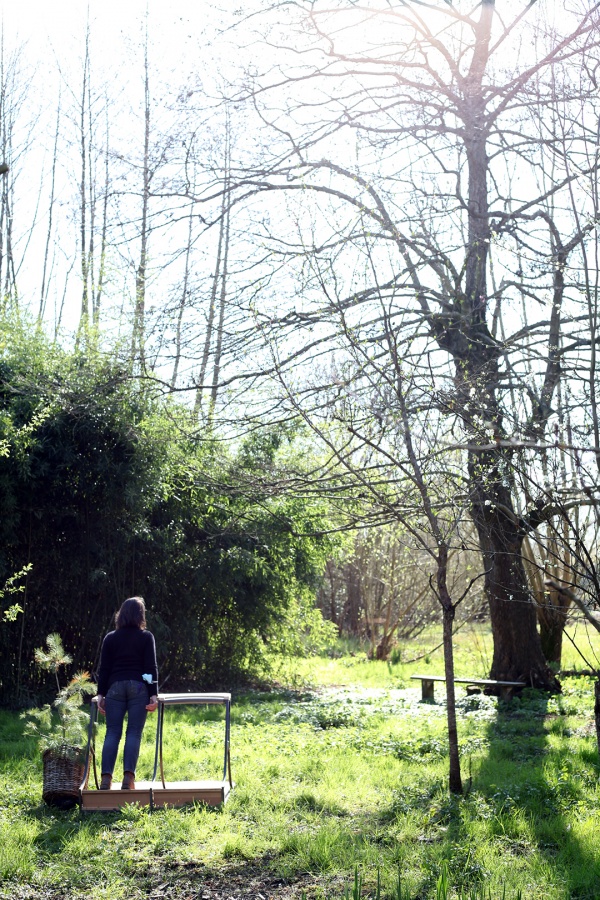 une saison dans les marais #2  le printemps