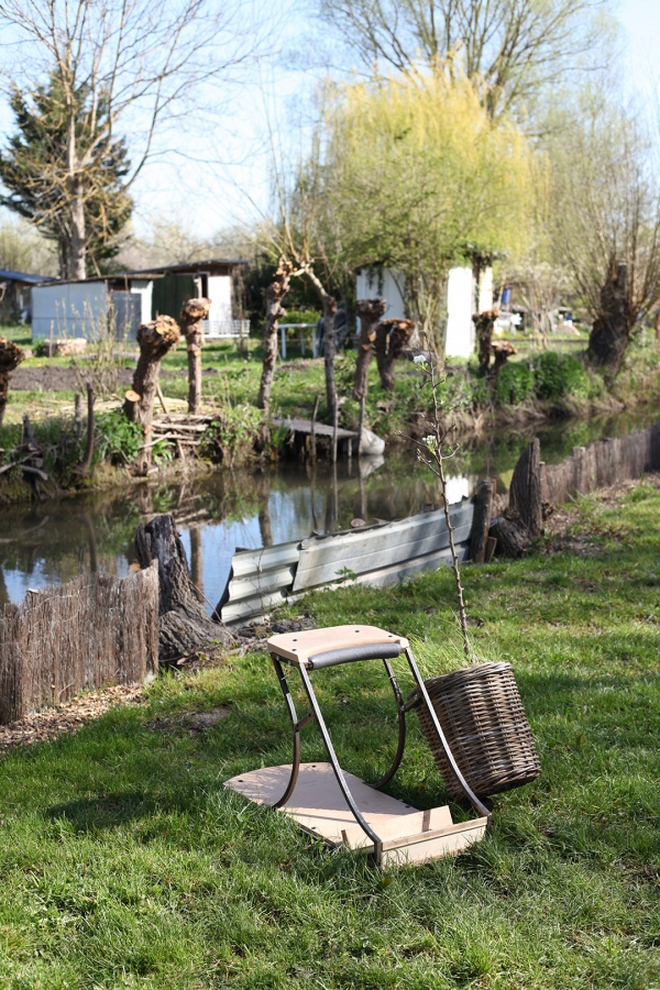 une saison dans les marais #2  le printemps