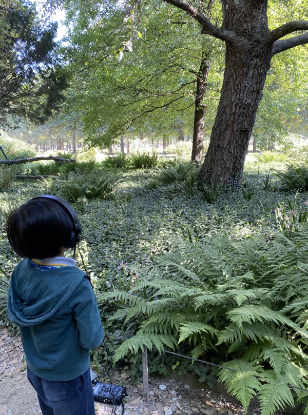 A l&#039;écoute du jardin des Tuileries