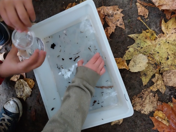 Le chuchotement des écosystèmes