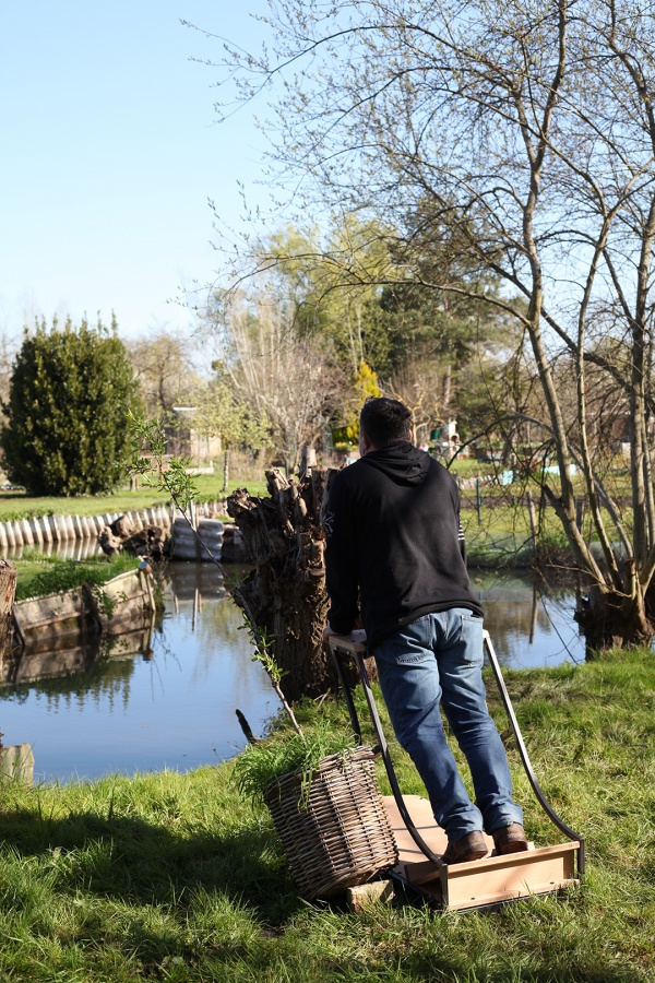 une saison dans les marais #2  le printemps