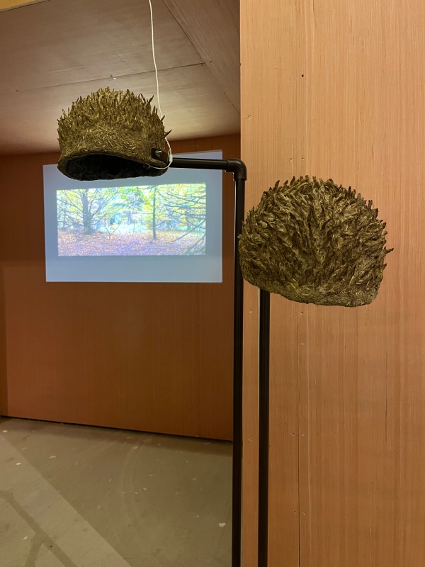 paille, terre, pierre