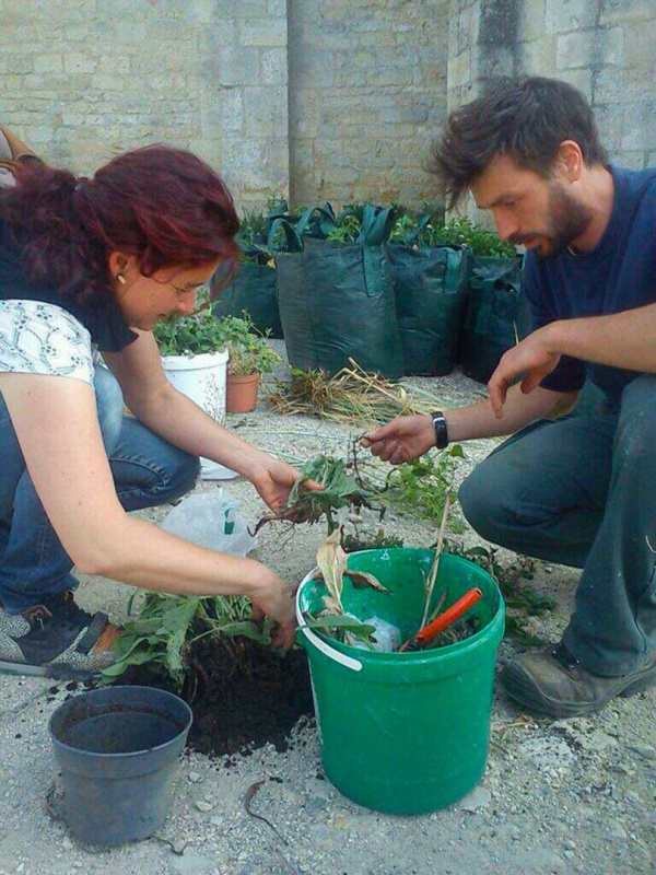 Jardiniers terrestres, jardiniers célestes, Melle biennal