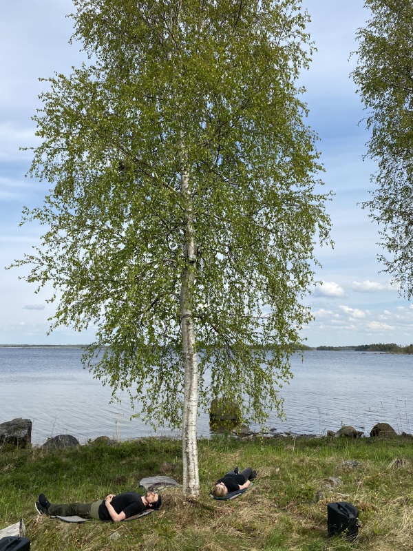 Est-ce que les arbres rêvent de C02 ?