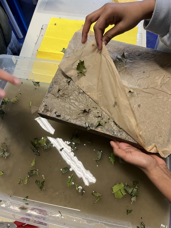 la peau du chemin, atelier