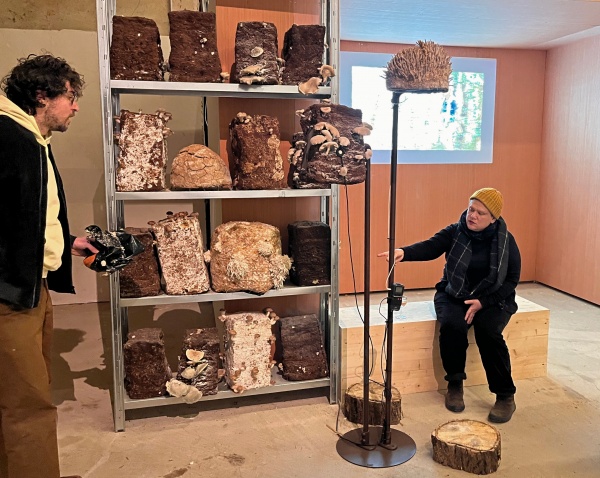 paille, terre, pierre