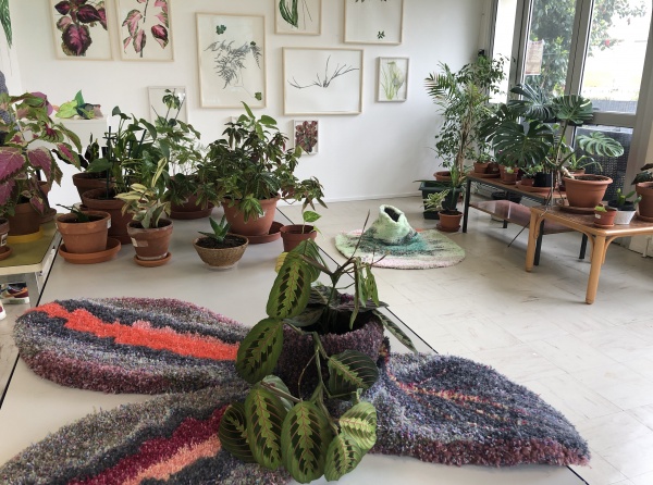 Regarder les plantes pousser, à l&#039;invitation de Patricia Cartereau