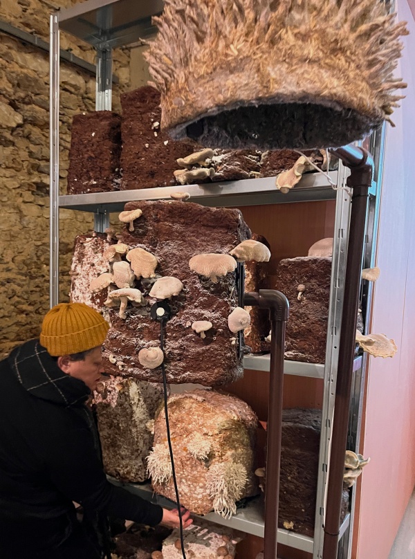 paille, terre, pierre