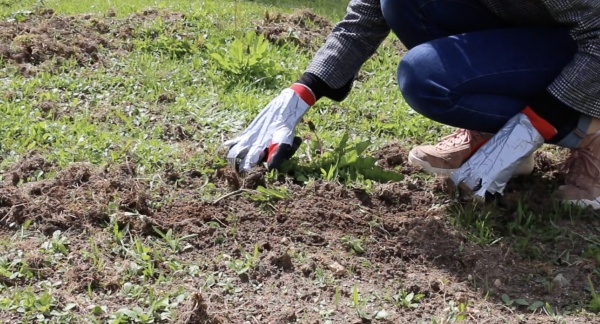 Au jardin !