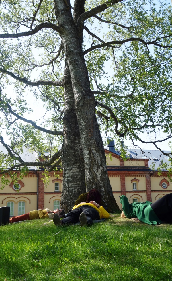 Est-ce que les arbres rêvent de C02 ?