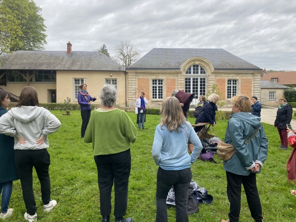 Respirer avec les arbres