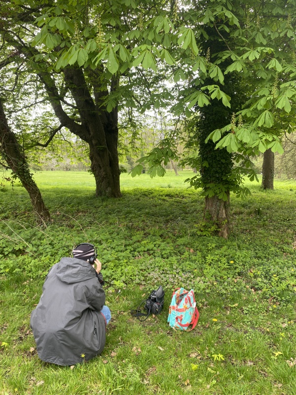 Respirer avec les arbres