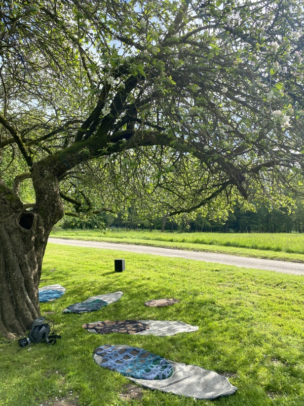 Est-ce que les arbres rêvent de CO2 ?