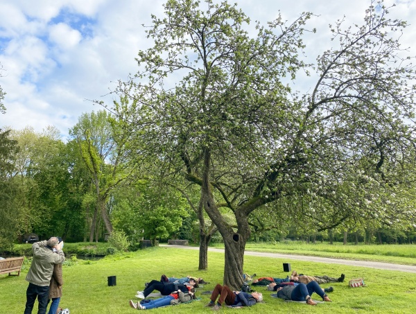 Est-ce que les arbres rêvent de CO2 ?