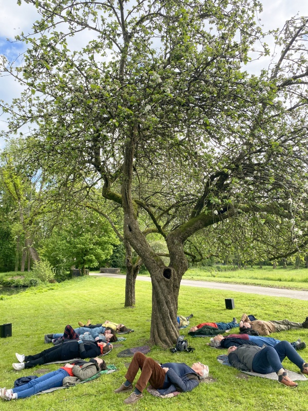 Est-ce que les arbres rêvent de CO2 ?