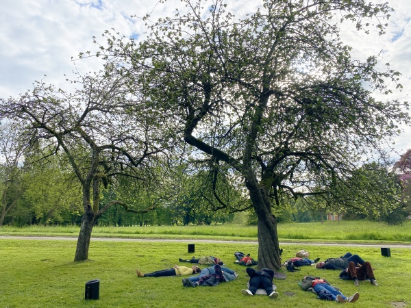 Est-ce que les arbres rêvent de CO2 ?