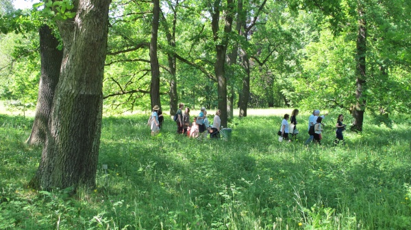 Soundwalk, botanical garden, Berlin