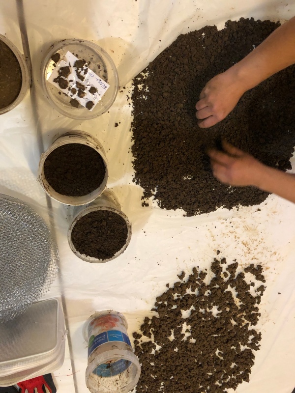 Listening, eating the soil