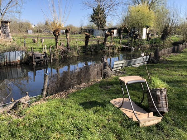 une saison dans les marais #2  le printemps