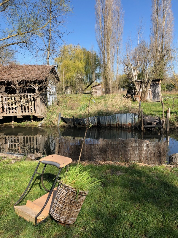 une saison dans les marais #2  le printemps