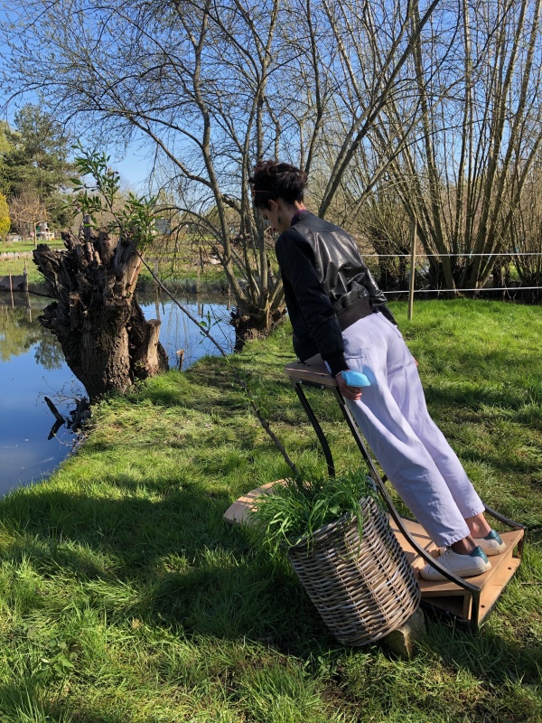 une saison dans les marais #2  le printemps