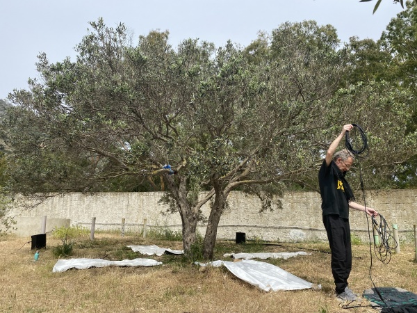 Est-ce que les arbres rêvent de CO2 ? Résidence de recherche, Tunisie