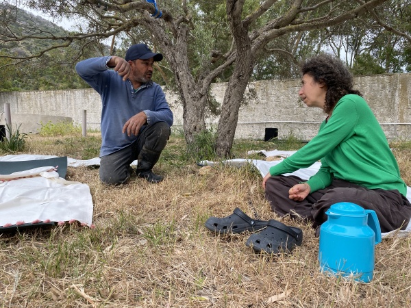 Est-ce que les arbres rêvent de CO2 ? Résidence de recherche, Tunisie