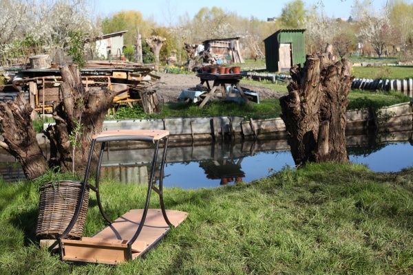 une saison dans les marais #2  le printemps