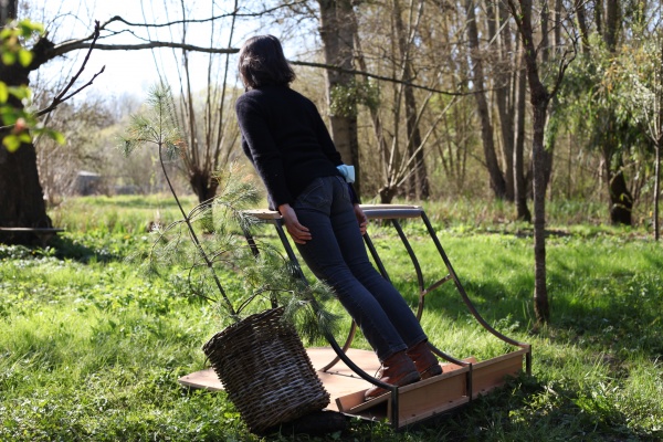 une saison dans les marais #2  le printemps