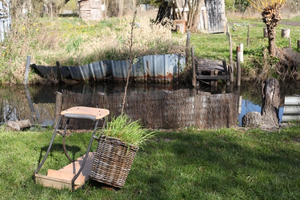 une saison dans les marais #2  le printemps