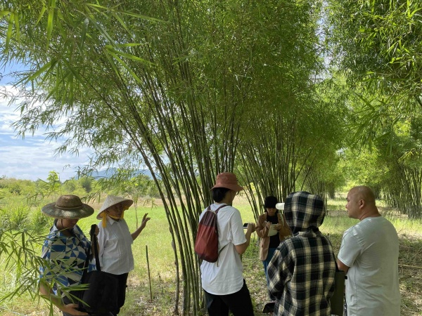 Hoa tay, résidence villa Saïgon