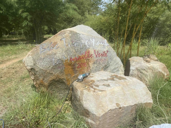 Hoa tay, résidence villa Saïgon