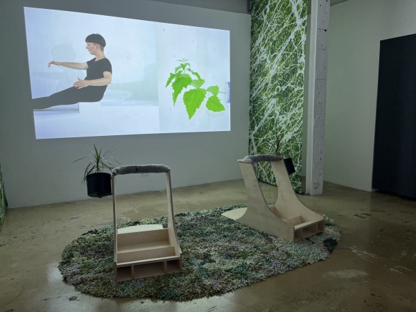 plant intelligence