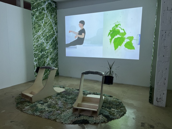 plant intelligence
