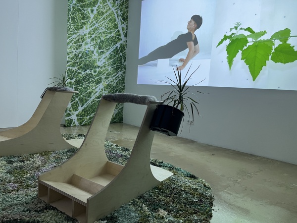 plant intelligence