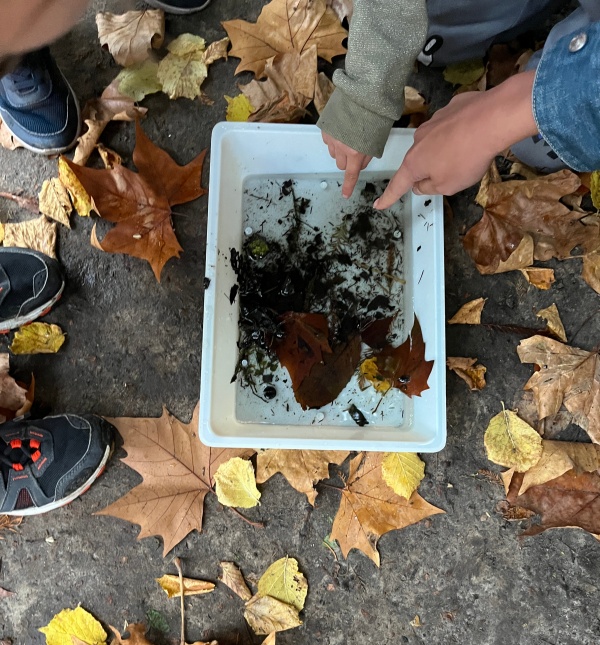 Le chuchotement des écosystèmes