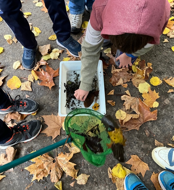 Le chuchotement des écosystèmes