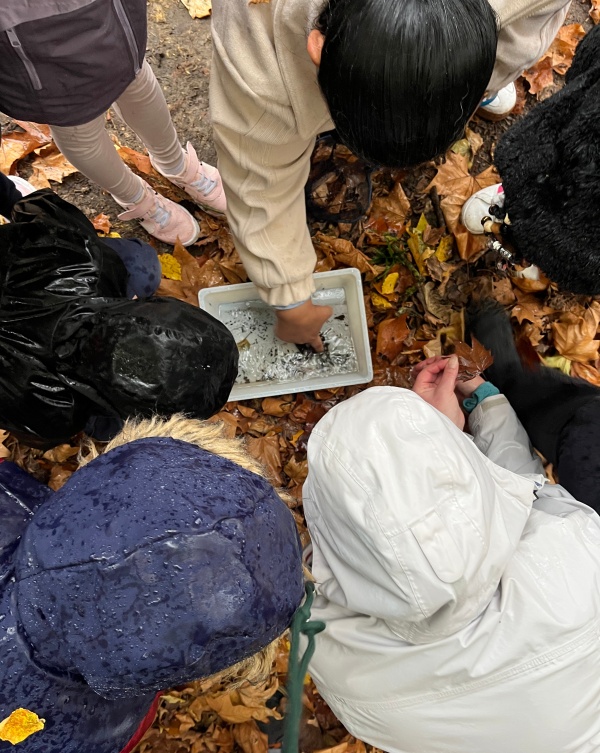 Le chuchotement des écosystèmes